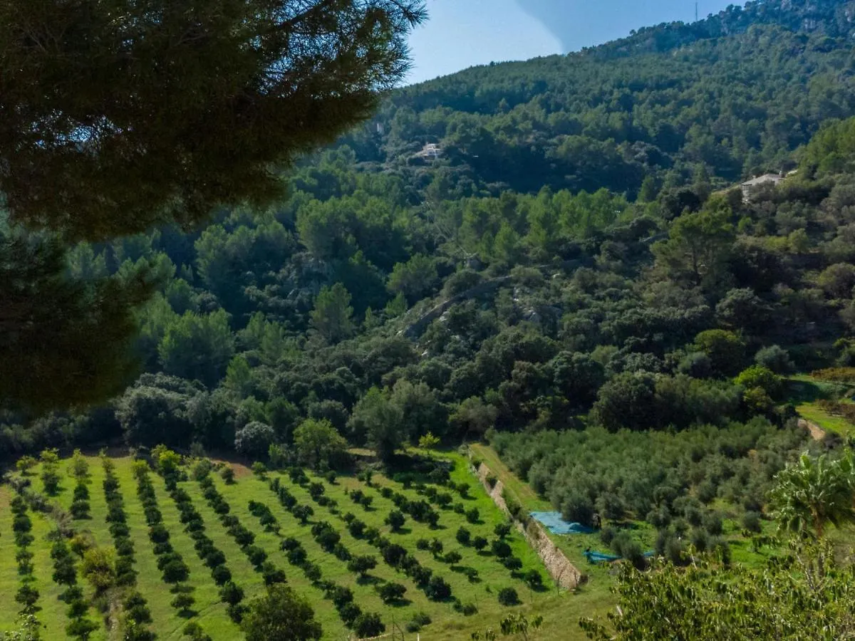 Holiday Home S'Hort Des Verger - Epo100 By Interhome Esporles